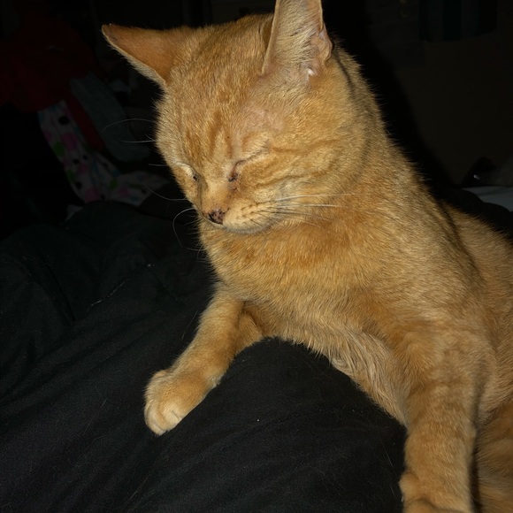 All sales go to my babyโs medical funds! New pics! - Picture 2 of 8